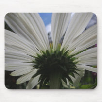 Underneath of an African daisy Mouse Mat