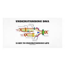 Understanding DNA Is Key To Understanding Life