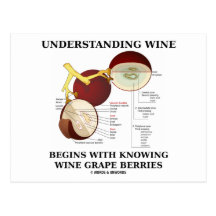 Understanding Wine Begins With Knowing Wine Grape Post Card