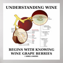 Understanding Wine Begins With Knowing Wine Grape Poster