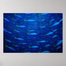 Underwater 4 print
