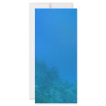 Underwater Background Scene Custom Rack Card