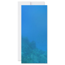 Underwater Background Scene Personalized Rack Card