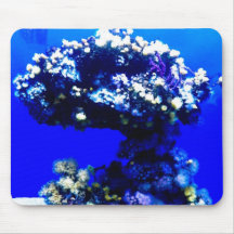 Underwater coral mouse pads