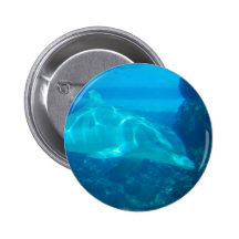 Underwater Dolphin Button