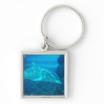 Underwater Dolphin Keychain