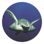 Underwater Flight stickers