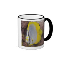 Underwater Life, FISH:  A colourful tropical Mug