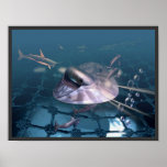 Underwater Print
