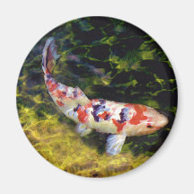 Underwater Sanke Koi Magnets