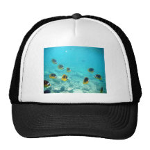 Underwater Tropical Fish Mesh Hats