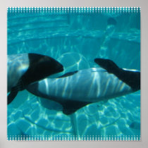 Underwater Whales Poster Print