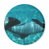 Underwater Whales Round Magnet
