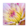 Unfolding Flower - Magnet