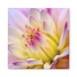 Unfolding Flower - Magnet