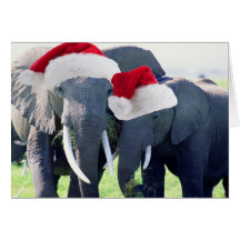 Unforgettable Elephant Christmas Greeting Card