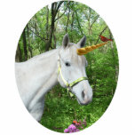 Unicorn photo sculptures