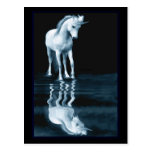 unicorn reflections postcards