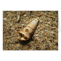 Unicorn Shell on Beach Greeting Card