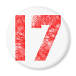 Unique 17th Birthday Gifts Magnets