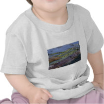 Unique 456 Midway geyser basin, Yellowstone Tshirt