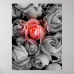 Unique Beauty Poster
