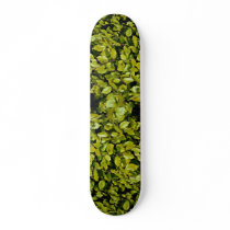 Unique Beech leaf Skate Board Deck
