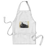 Unique black and white cat aprons