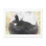 Unique Black and white Cat Post Cards