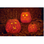 Unique Decorative carved pumpkins photo sculptures