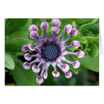 Unique Flower! Greeting Cards