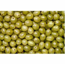 Unique Green gooseberries Photo Cutout