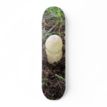 Unique Mushroom Design-Skateboard