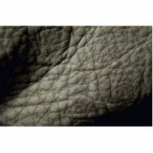 Unique Rough Leather (Elephant) Photo Sculptures