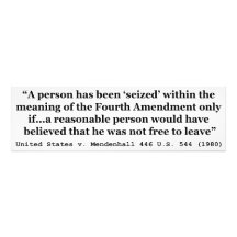 United States v Mendenhall 446 US 544 1980 Photo Art
