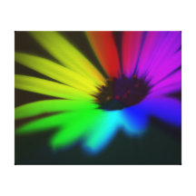 Unity Canvas Print