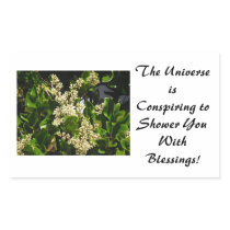 Universe Conspiring Sticker
