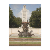 University of Texad Clock Tower. Postcards