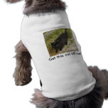 Unlucky pet clothing