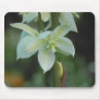 Unsung Beauty Mouse Pad