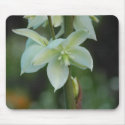 Unsung Beauty mousepads