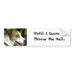 Until I Learn to Throw the Ball... bumper stickers