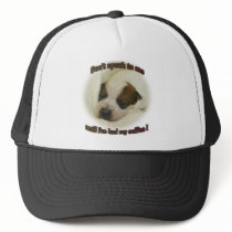 Until Ive had my coffee hat