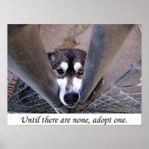 Until there are none, adopt one (watercolor) posters