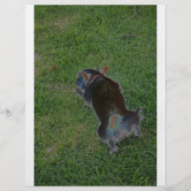 Untitled #24 flyer