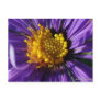 Untitled Aster Number 8 Post Card