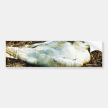 Untitled Bumper Sticker