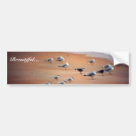 Untitled Bumper Sticker