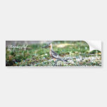 Untitled Bumper Sticker