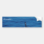 Untitled Bumper Stickers